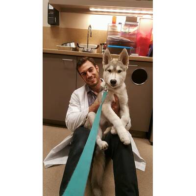 Dr. Evan Antin - Der heißeste Tierarzt der Welt 