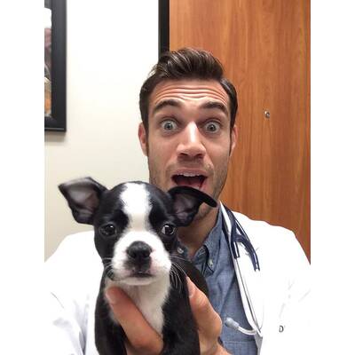 Dr. Evan Antin - Der heißeste Tierarzt der Welt 