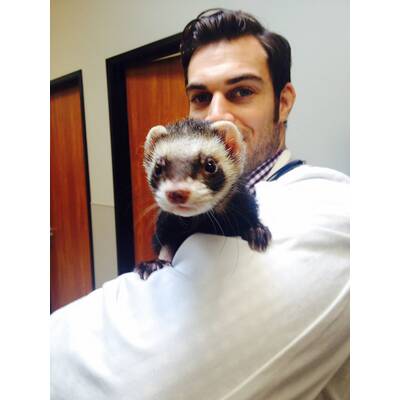 Dr. Evan Antin - Der heißeste Tierarzt der Welt 