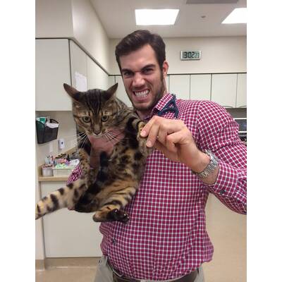 Dr. Evan Antin - Der heißeste Tierarzt der Welt 