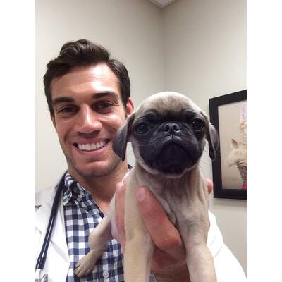Dr. Evan Antin - Der heißeste Tierarzt der Welt 