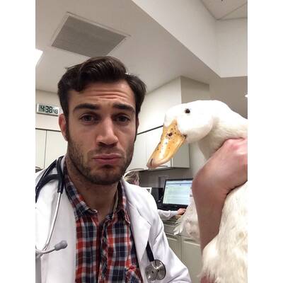 Dr. Evan Antin - Der heißeste Tierarzt der Welt 