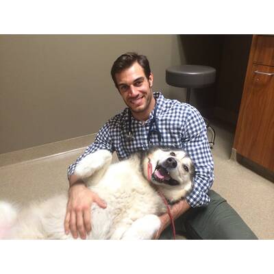 Dr. Evan Antin - Der heißeste Tierarzt der Welt 