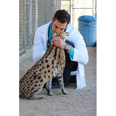 Dr. Evan Antin - Der heißeste Tierarzt der Welt 