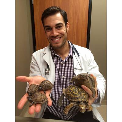 Dr. Evan Antin - Der heißeste Tierarzt der Welt 