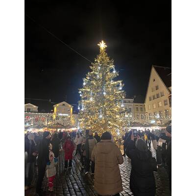 IMG_3703.jpeg