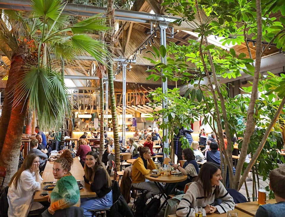 Gleisgarten Weinoase