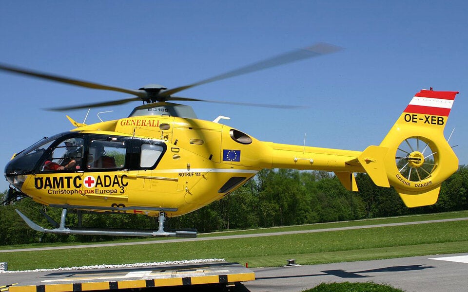 Mächen (8) in Steiermark von Hund ins Gesicht gebissen