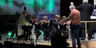 Drei Hunde als Mitbeller bei Klassikkonzert in Dänemark