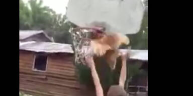 Kind spielt Basketball mit H&uuml;hnchen