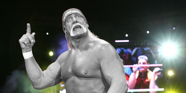 hulk hogan.png