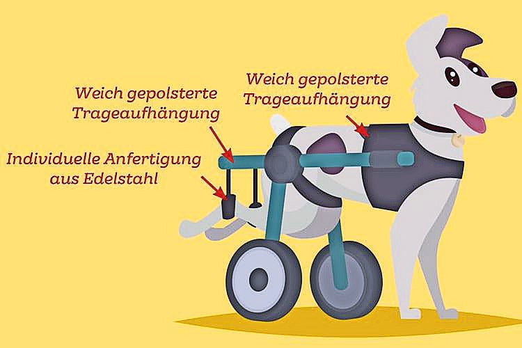 Rollstuhl Hund