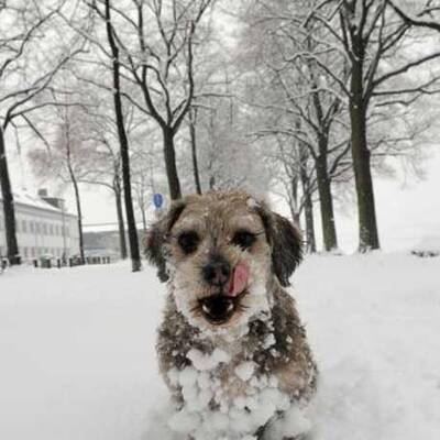 Stromausfall in Teilen von Graz