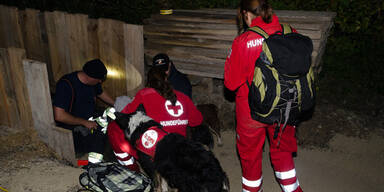 H&uuml;ndin rettet abg&auml;ngige Pensionistin