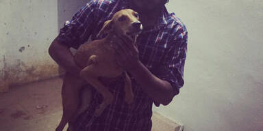 Hund von Dach geworfen: T&auml;ter gefasst