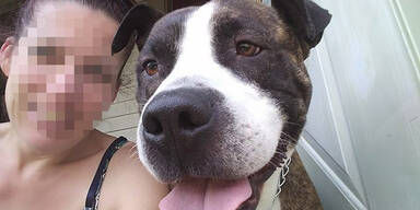 Hund bei&szlig;t Besitzerin w&auml;hrend Krampfanfall tot