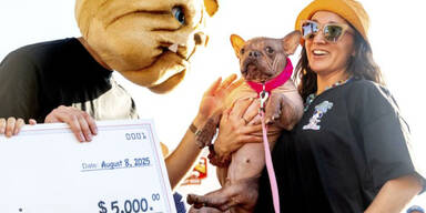 Klarer Sieg: DAS ist der h&auml;sslichste Hund der Welt