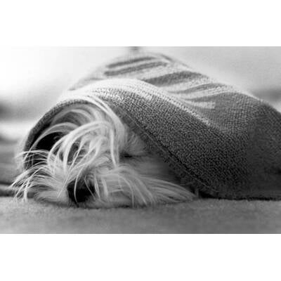 Müde sein und frieren geht gar nicht