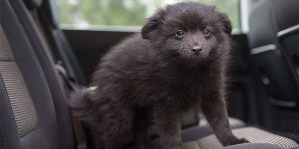 Mega-Stau auf A1 wegen Lkw-Unfall