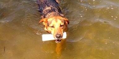 Jetzt ist endlich der Sommer da!