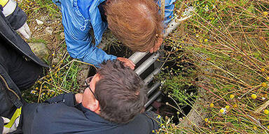 Frau kletterte Hund in Brunnen nach