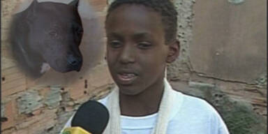 Brasilianischer Bub beißt Pitbull