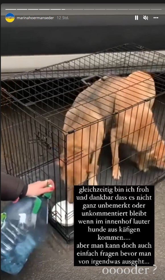 Hoermanseder: Nachbar ruft Polizei wegen 