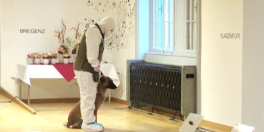 hunde.png