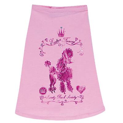 Die schönsten Hunde-Accessoires