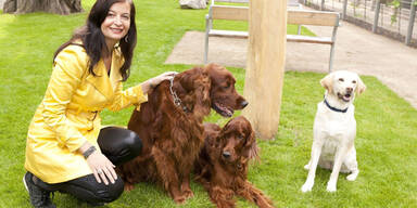 Die 1.000 besten Internet-Seiten: Tiere