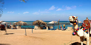 Taucherparadies Hurghada