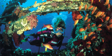 Taucherparadies Hurghada