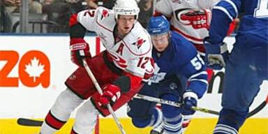 hurricanes leafs