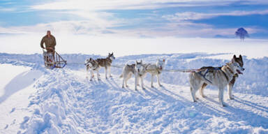 Romantische Reise in den Winter