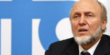 Hans-Werner Sinn, ifo