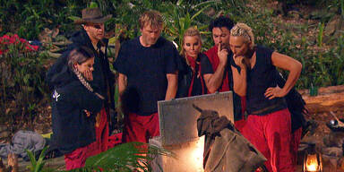 Dschungelcamp 2018 Ansgar