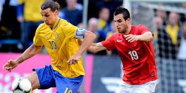 Ibrahimovic Schweden