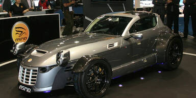 Hässlich, aber sauschnell