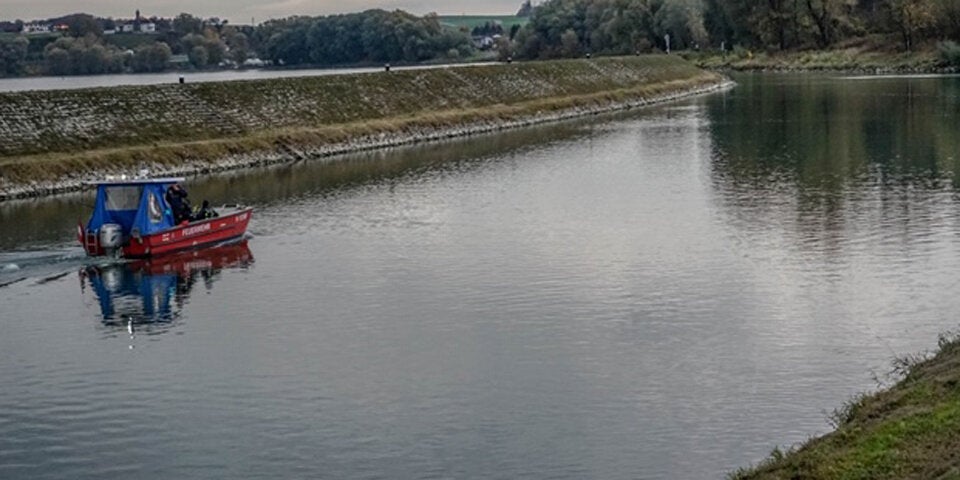 Kalb in Donau Bezirk Melk