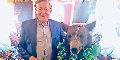 Bäriger Trip für Lugner