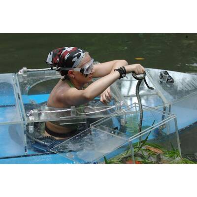 Dschungelcamp: Tag 5