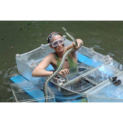 Dschungelcamp: Tag 5