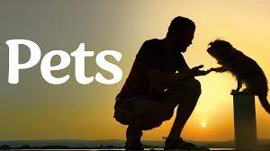 Die Streaming-Highlights der Woche auf DISNEY+