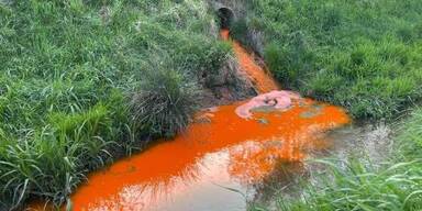 Flüsse in Mistelbach leuchten ORANGE!