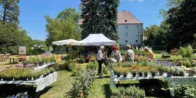 "Gartenlust" in Ebreichsdorf genießen