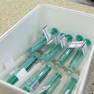 Großer Run auf die Schweinegrippe-Impfung