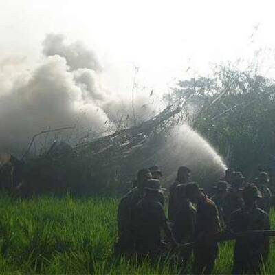 Mindestens 78 Tote bei Flugzeugcrash
