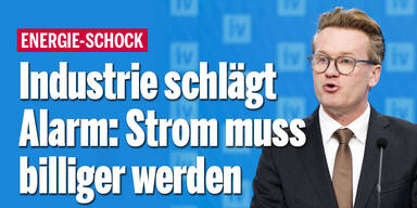 Industrie schlägt Alarm: Strom muss billiger werden