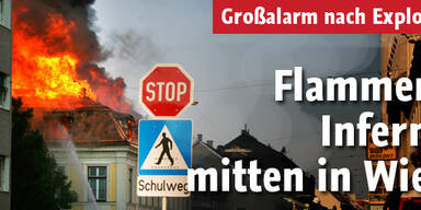 Flammen-Inferno mitten in Wien
