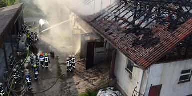 74 Rinder bei Brand im Innviertel gerettet